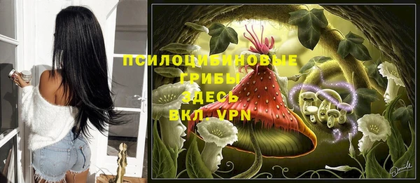 соль ск Карпинск