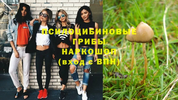 соль ск Карпинск
